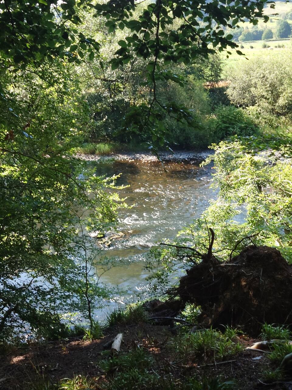 River Clyde at Dalserf