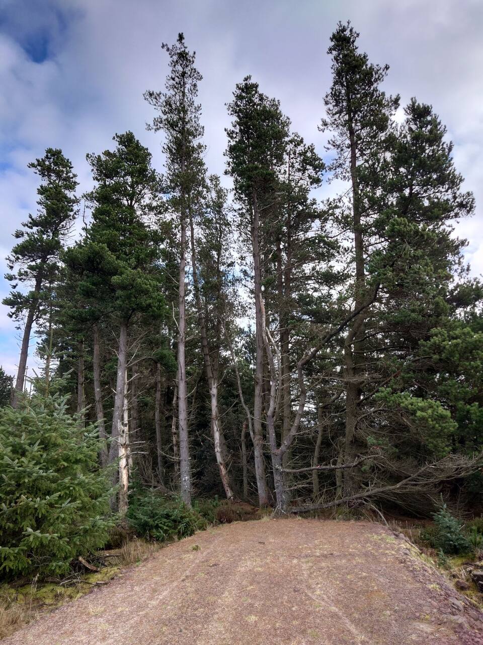 Kilpatrick Hills