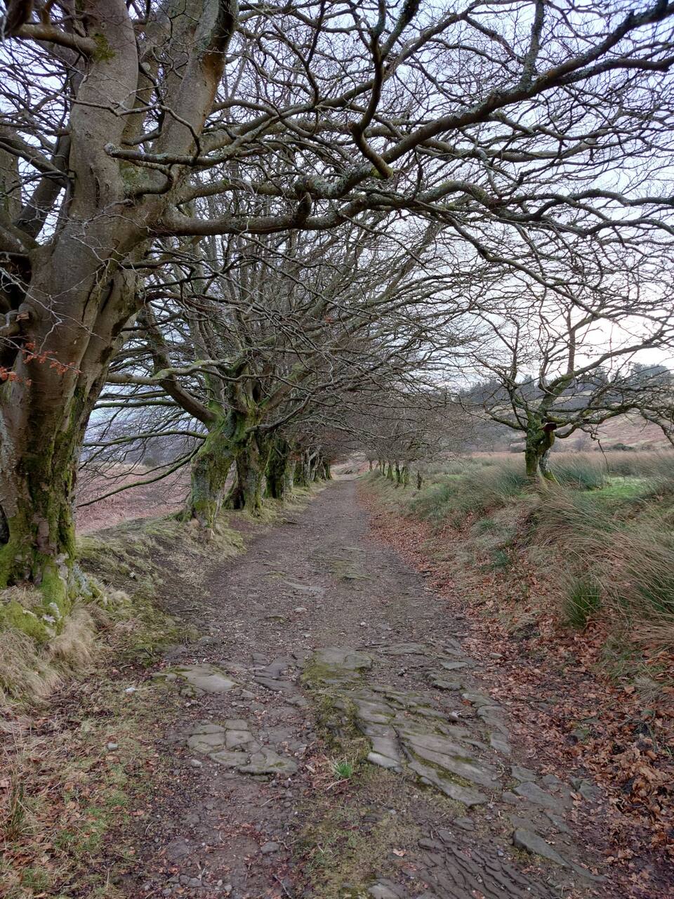 Stoneymollan