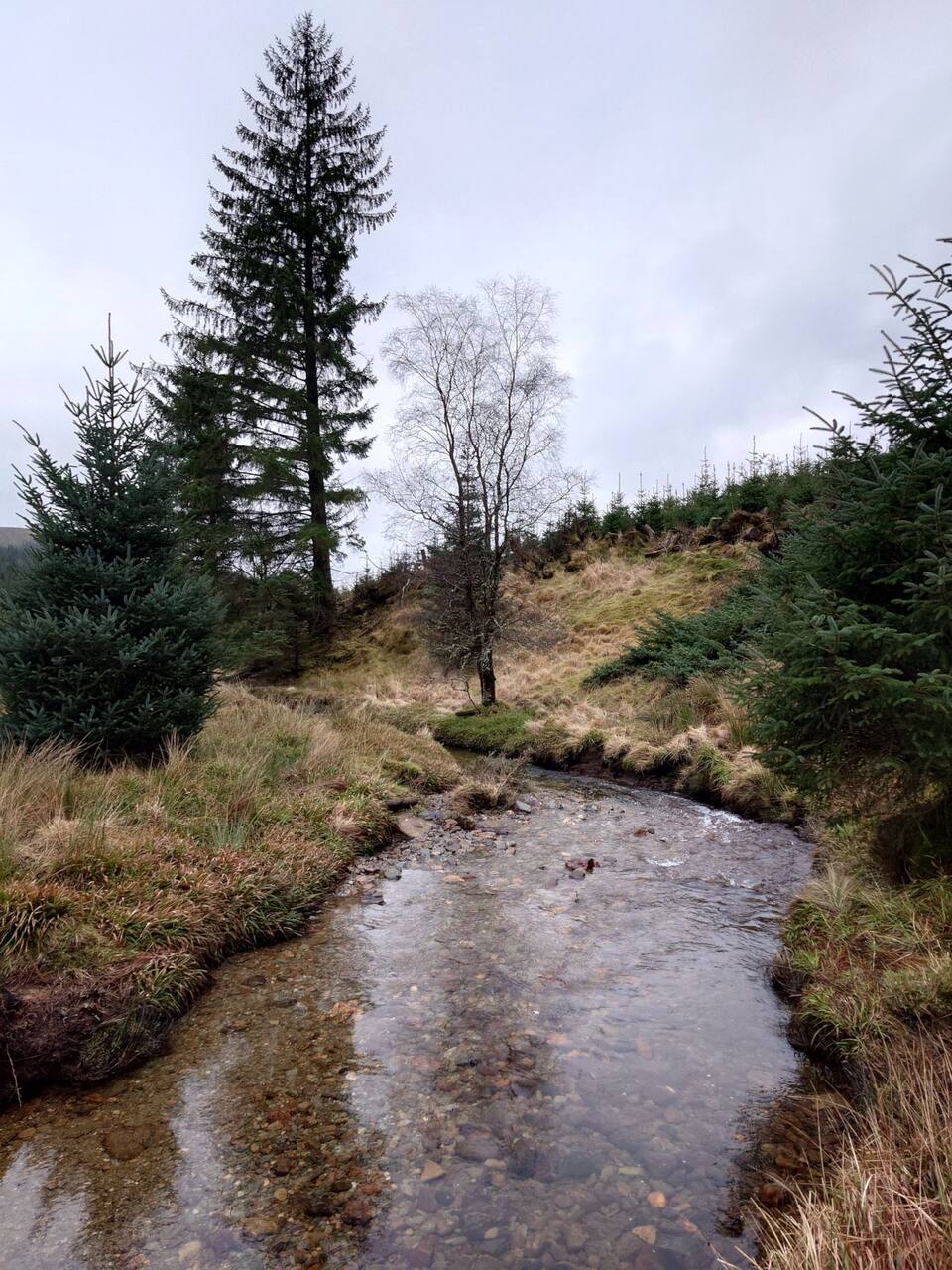 Near Arrochar